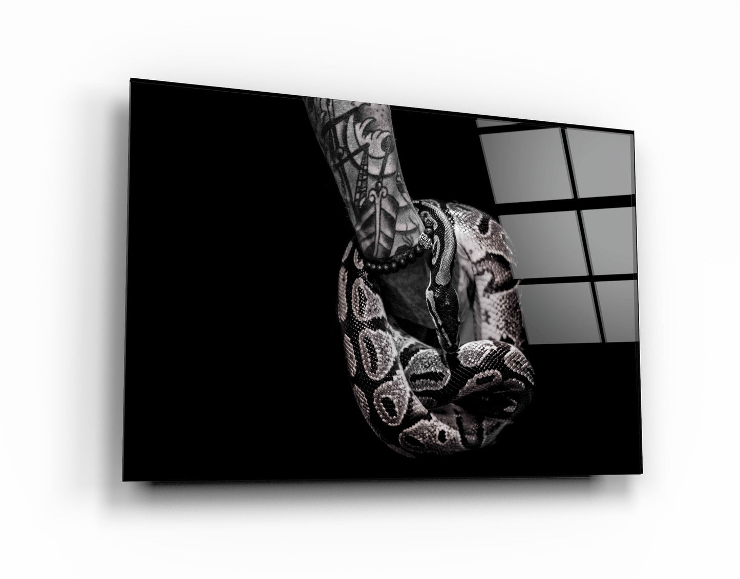 Viper - Designer's Collection Glass Wall Art