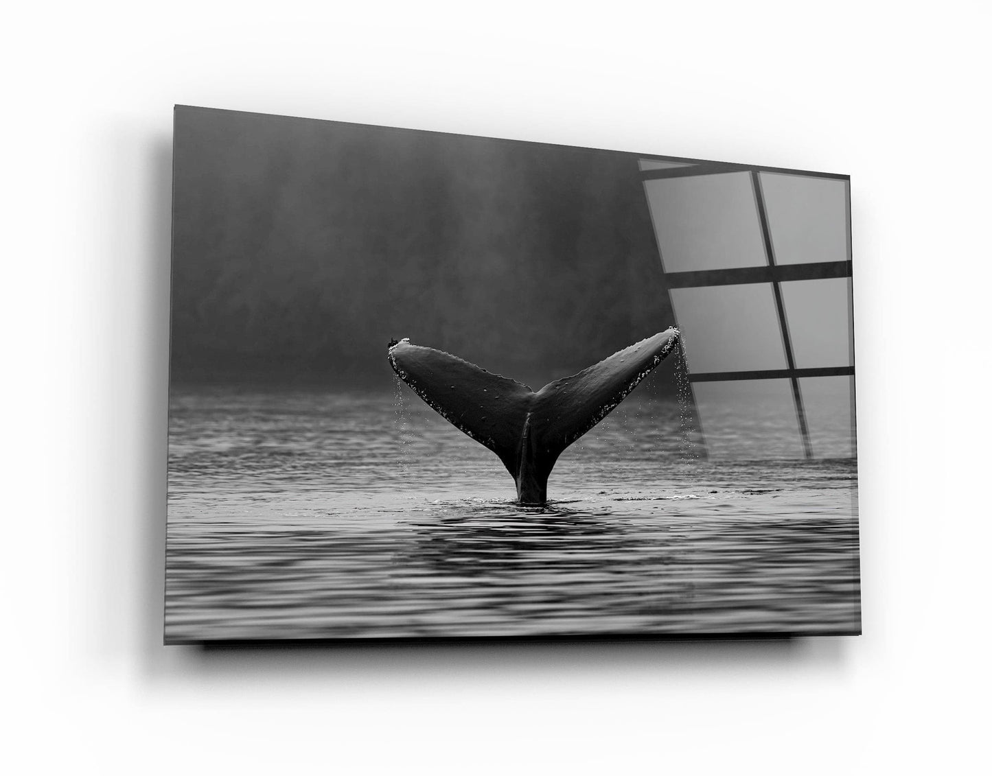Whale - Designer's Collection Glass Wall Art